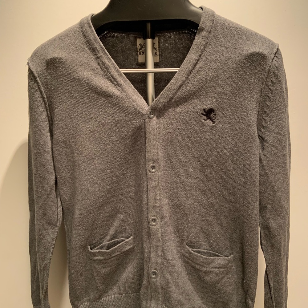 Express gray sweater